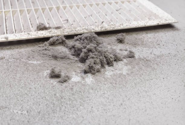 Best Affordable Duct Cleaning Services  in Port Norris, NJ